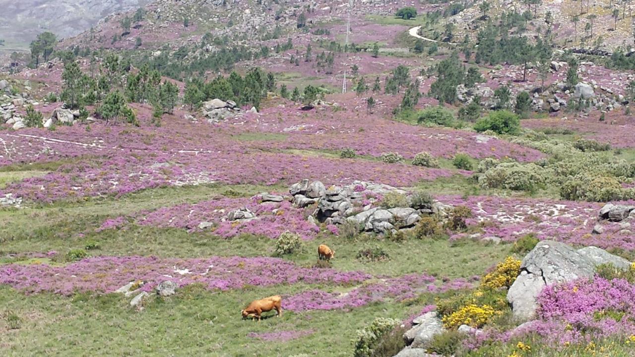 Bungalows - Serra Do Geres Campo do Geres Ngoại thất bức ảnh