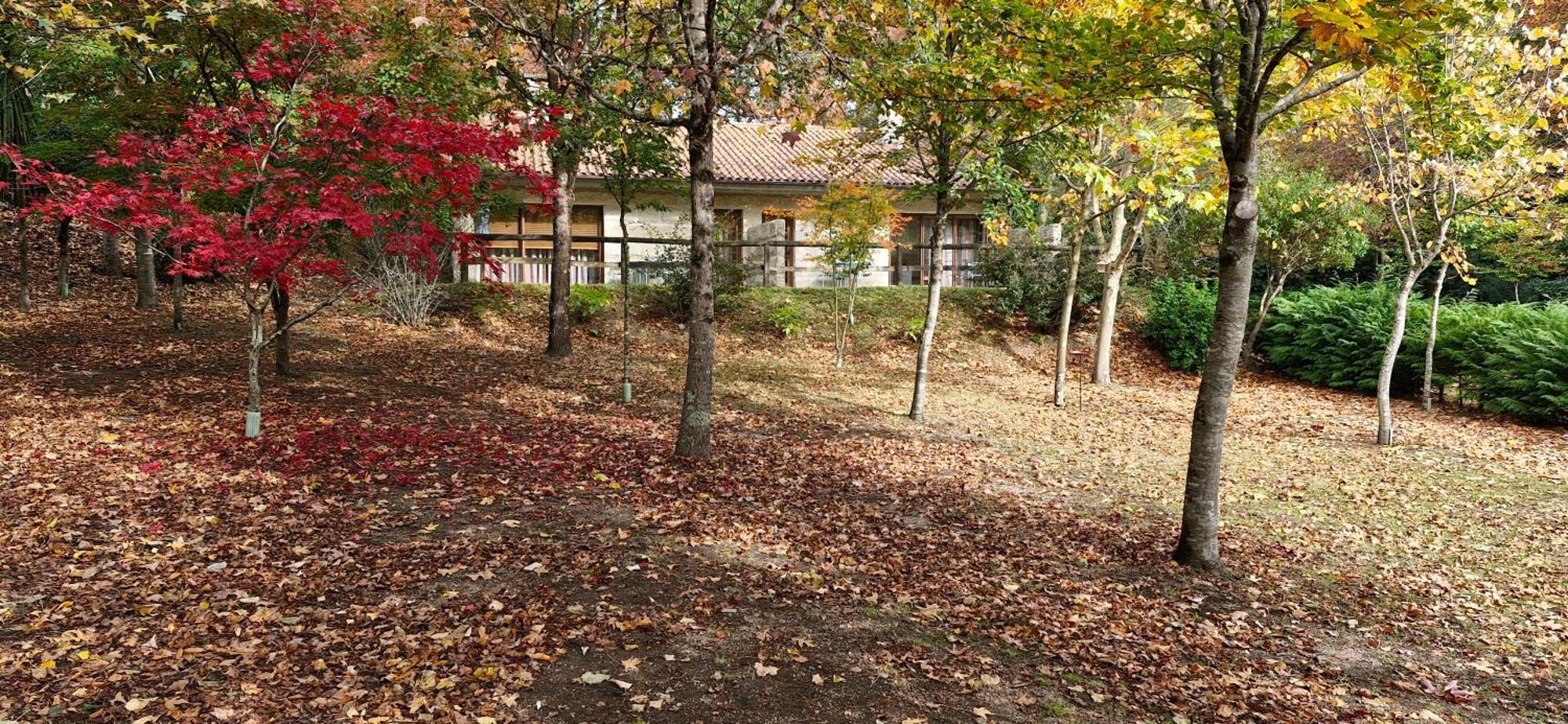 Bungalows - Serra Do Geres Campo do Geres Ngoại thất bức ảnh